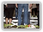 2012_DV_41